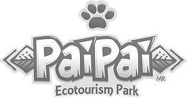 Paipai Logo